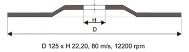 APP Fächerscheiben 125x22/P60 10 Stück