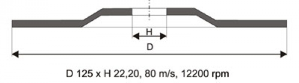 APP Fächerscheiben 125x22/P60 1 Stück